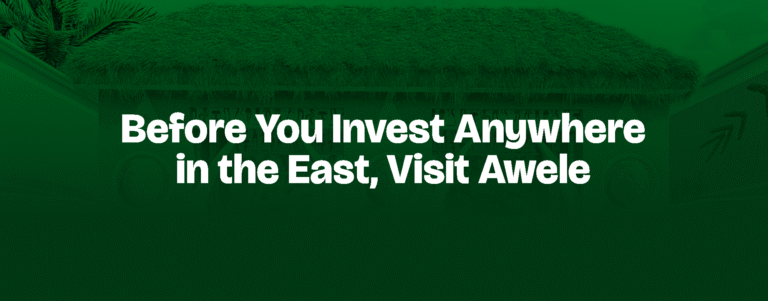 Read more about the article Before You Invest Anywhere in the East, Visit Awele