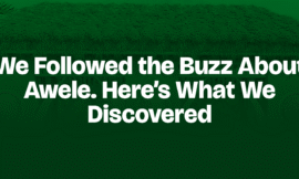 We Followed the Buzz About Awele. Here’s What We Discovered