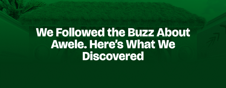 Read more about the article We Followed the Buzz About Awele. Here’s What We Discovered