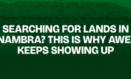 Searching for Lands in Anambra? This Is Why Awele Keeps Showing Up